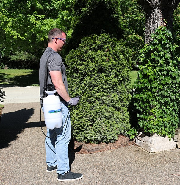 Master Mfg 6.5 L Handheld Sprayer