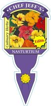 4" Chef Jeff's Herbs Nasturtium