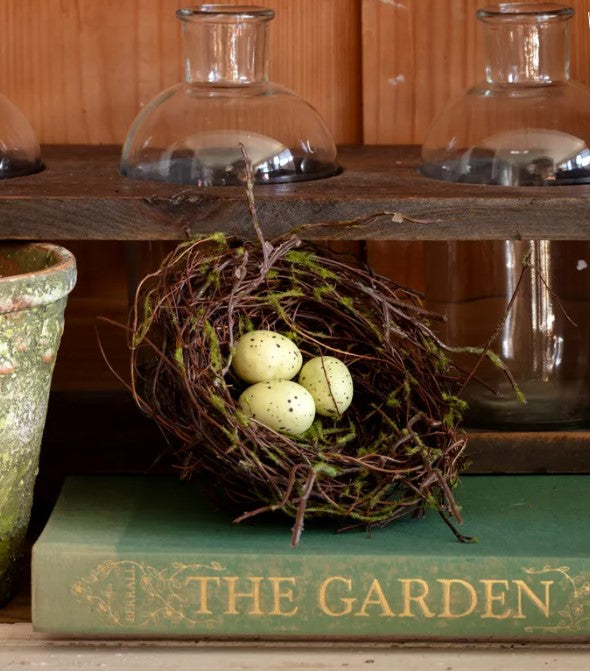 Nest with Eggs