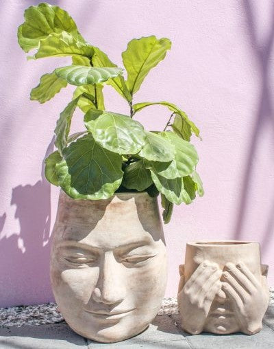 Head Planters