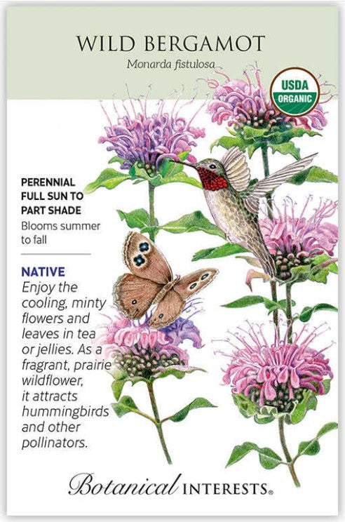 Wild Bergamot Seeds ORG