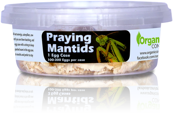 PRAYING MANTIDS