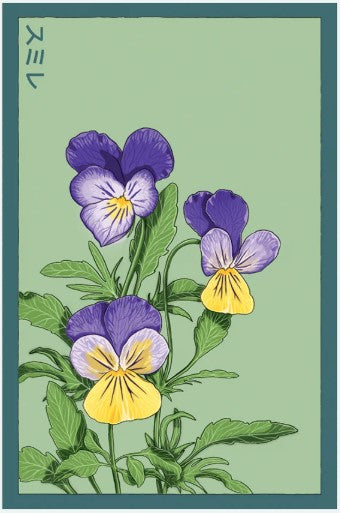 Pansy Flower Seed Pkt