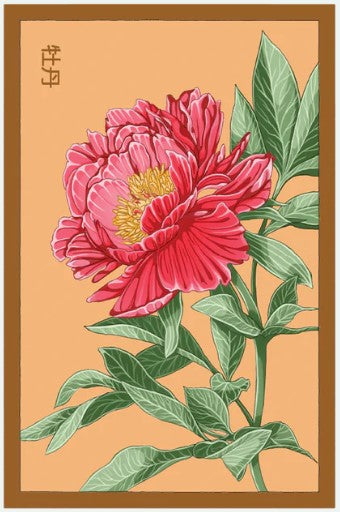 Peony Flower Seed Pkt