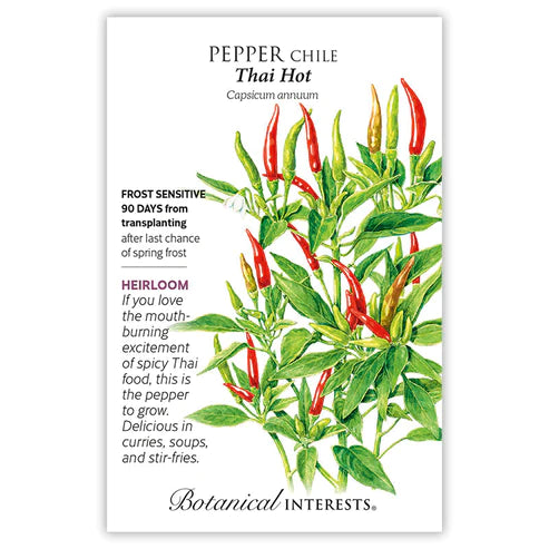 Pepper Chile Thai Hot