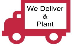 Delivery within 50 mi 2 man