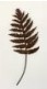 Flat metal Sprig