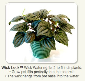 PlantFix WickWatering Pots