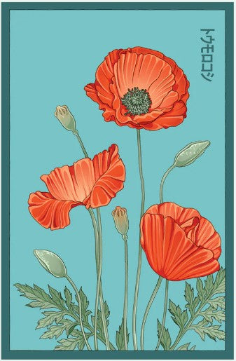 Corn Poppy Flower Seed Pkt