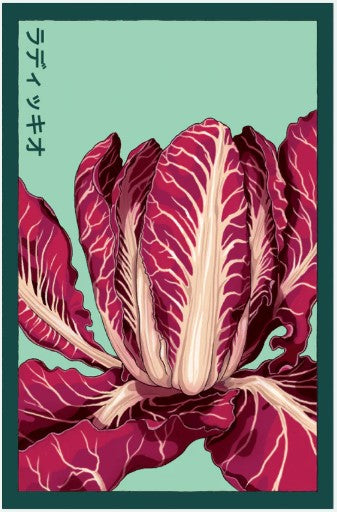 Radicchio Vegetable Seed Pkt
