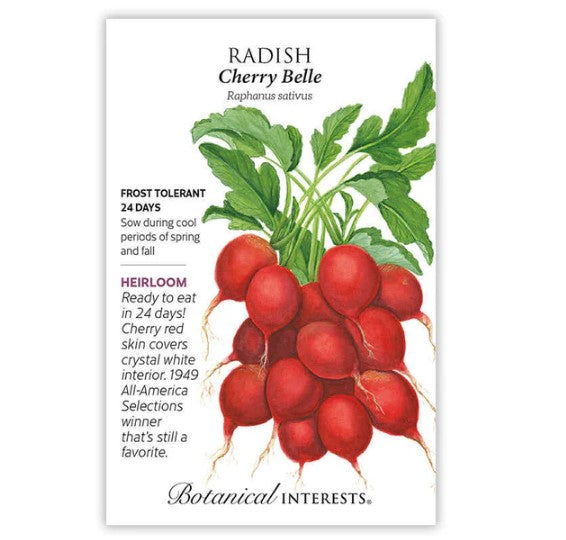 Radish Cherry Belle Org