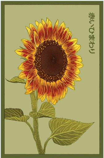 Red Sunflower Seeds Pkt