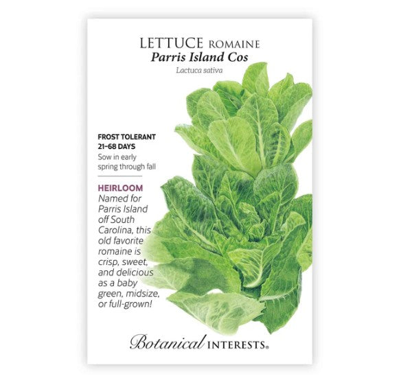 Romaine 'Parris Island Cos' Lettuce Seeds
