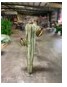Decorative Saguaro Cactus with flower