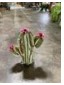 Decorative Saguaro Cactus with flower