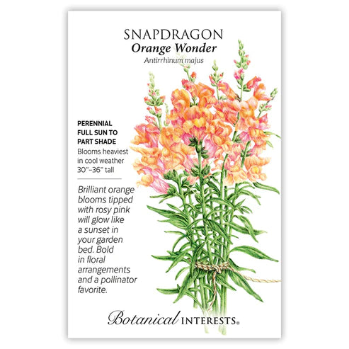 Snapdragon Orange Wonder