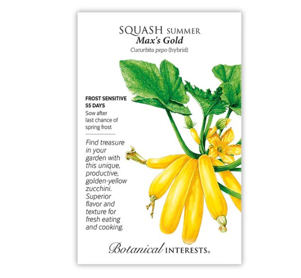 Max's Gold Summer Squash Seeds