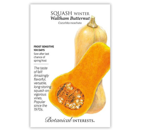 Waltham Butternut Winter Squash Seeds