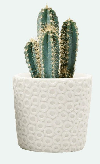 Stagma Resin Planter Pot
