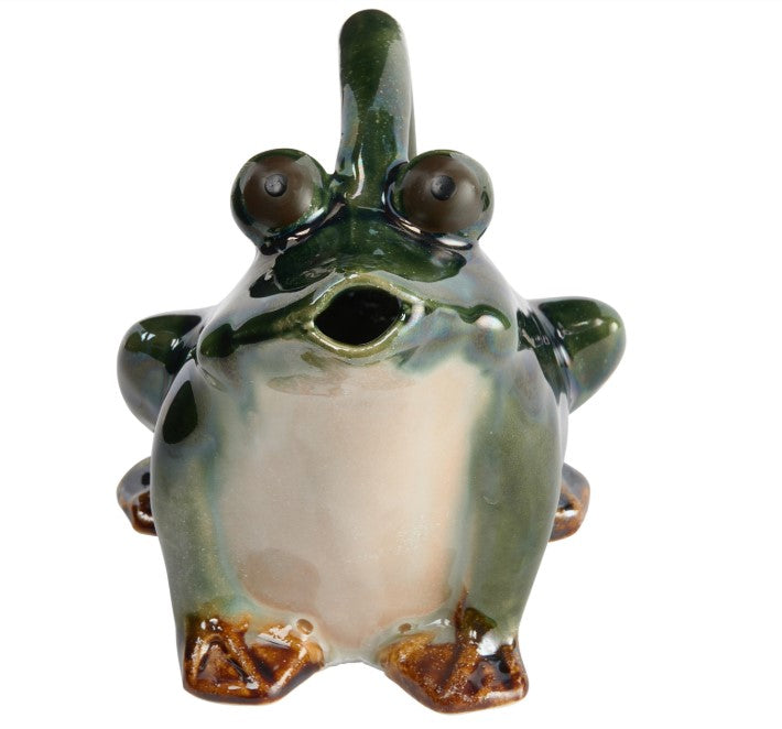 Stoneware Frog Watering Pitcher