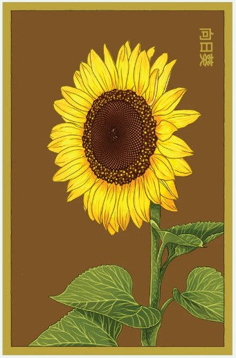 Sunflower Flower Seeds Pkt