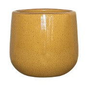Tagas Pot
