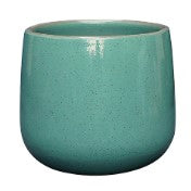 Tagas Pot