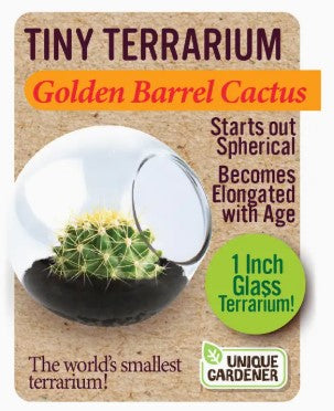 Tiny Terrariums