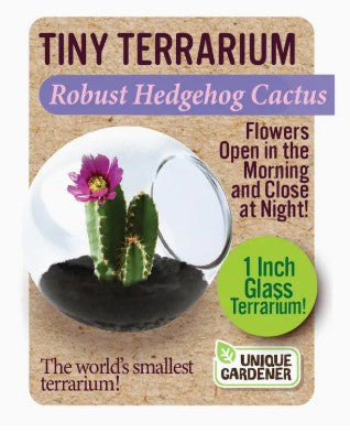 Tiny Terrariums