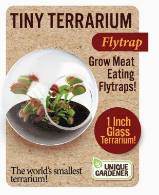 Tiny Terrariums