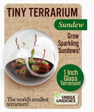 Tiny Terrariums