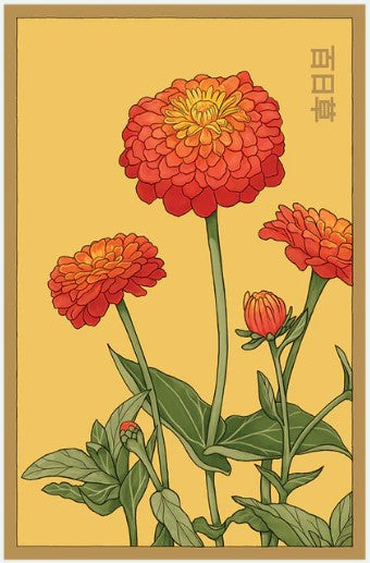 Zinnia Flower Seeds Pkt
