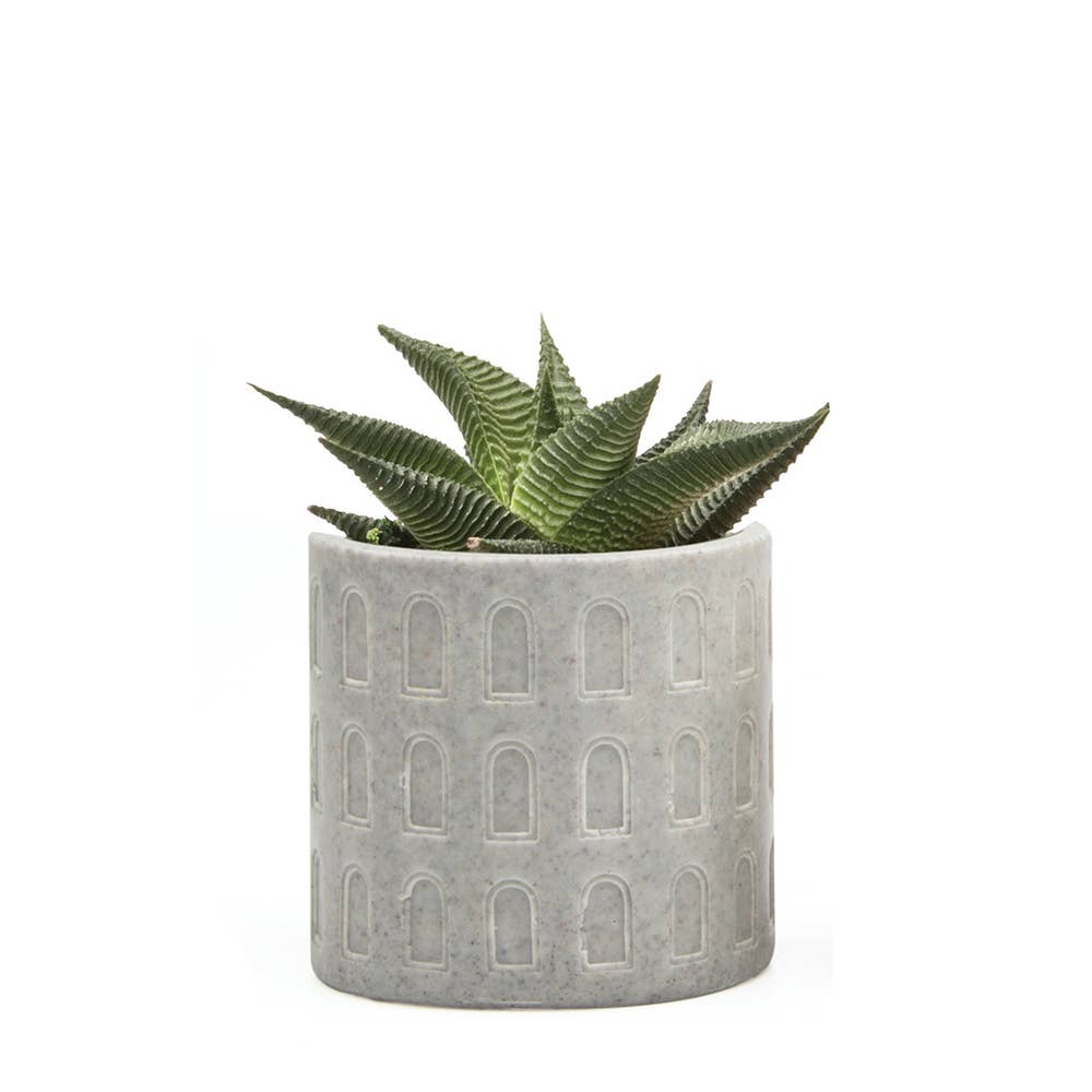 Stagma Planter For Succulents Indoor Planter 3 Inch