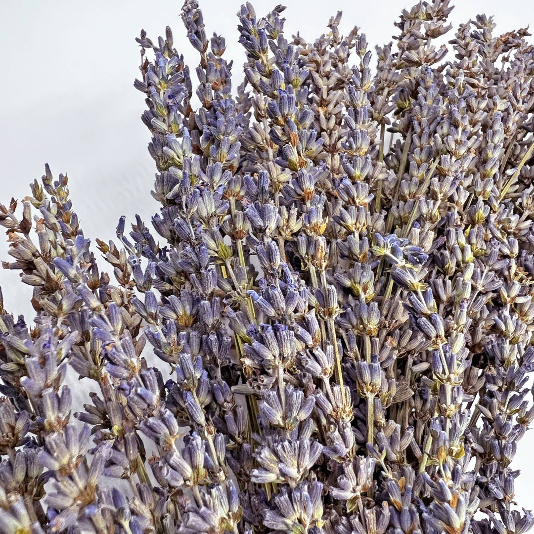 Real Preserved Dried Lavender Decorative Wreath in Purple
