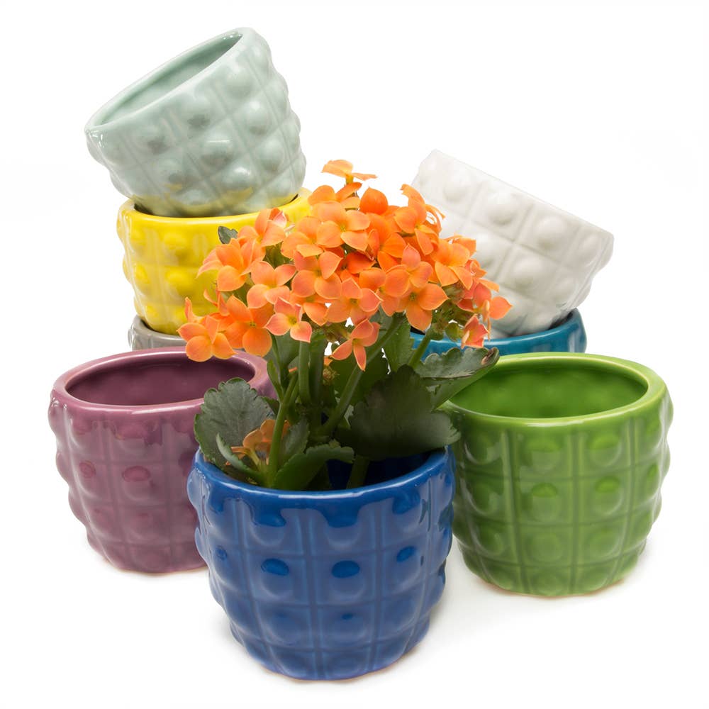 Convex Planter For Succulents And Cactus Pot With Saucer