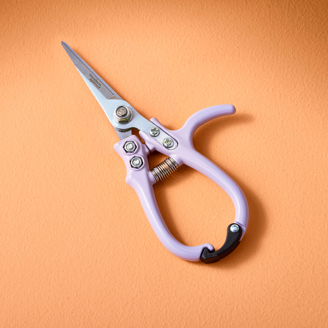 Garden Shears  - New Colors!
