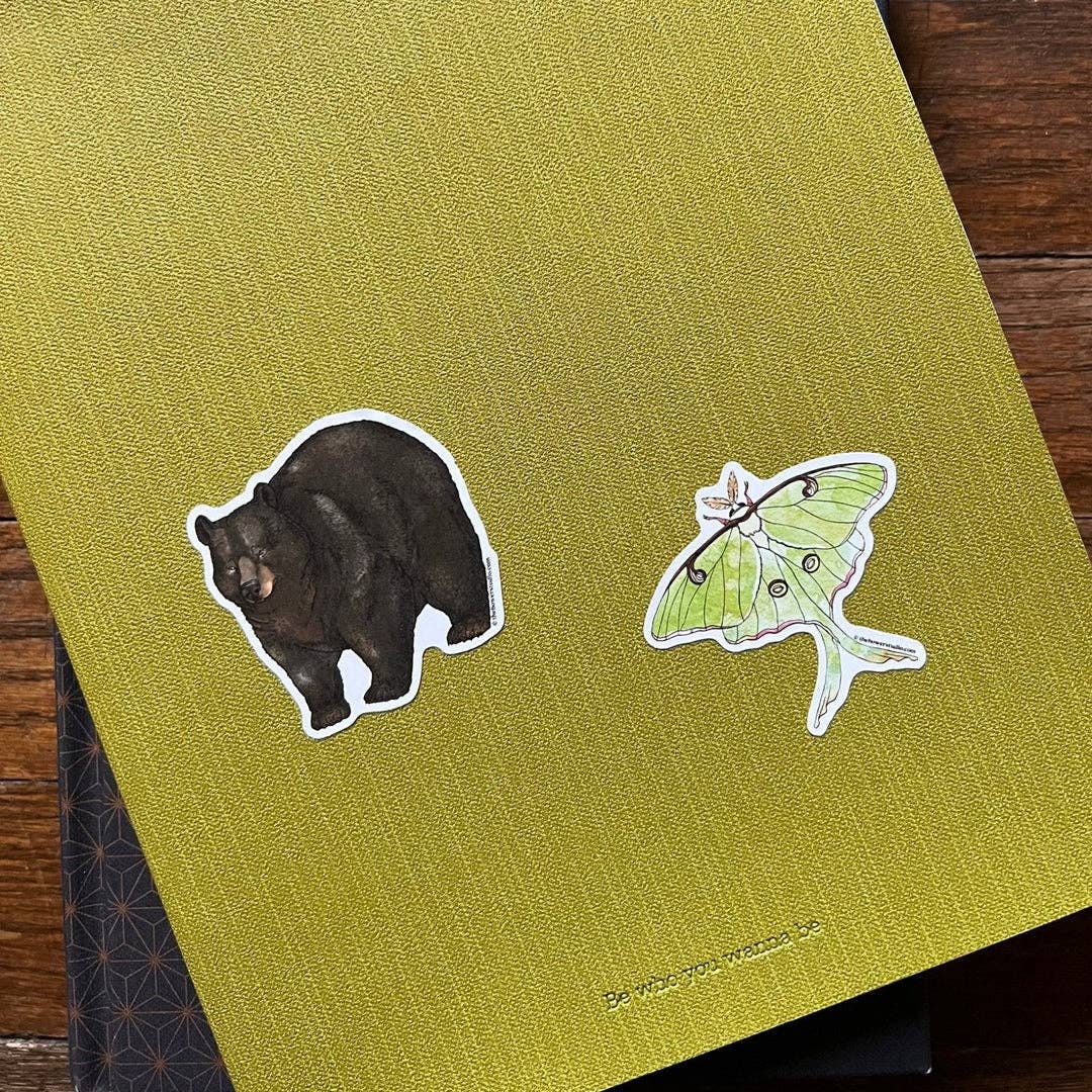 Eco-Sticker: Mandrake