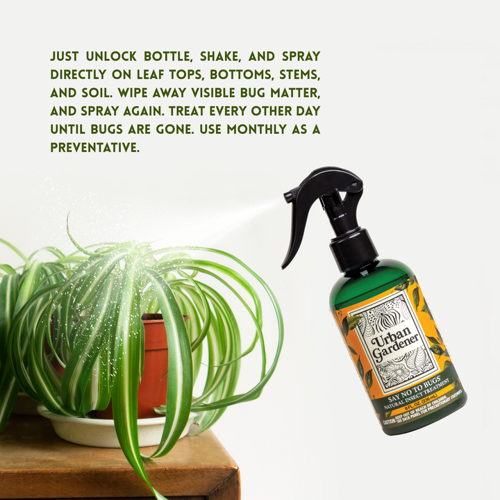 Say No To Bugs - Natural Houseplant Insect Treatment