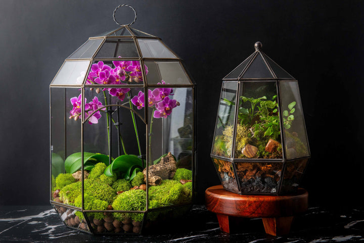 Solarium Glass Terrarium