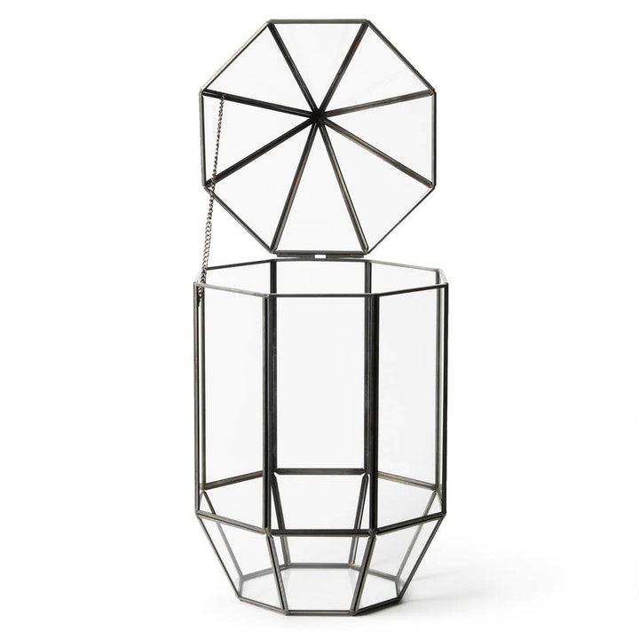 Glass Terrarium