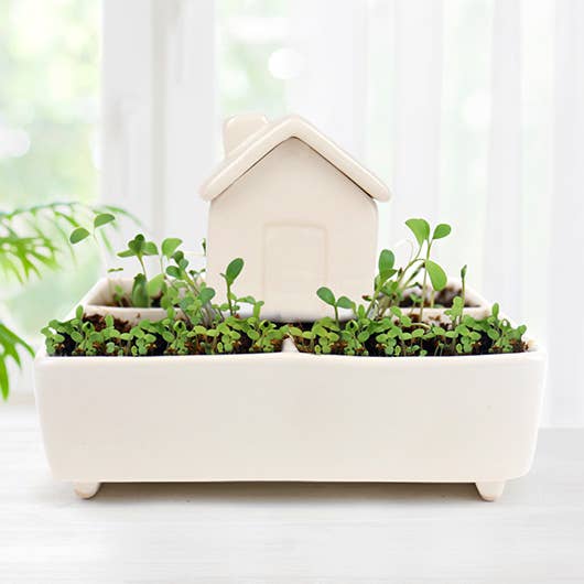 Self Watering House Herb Garden