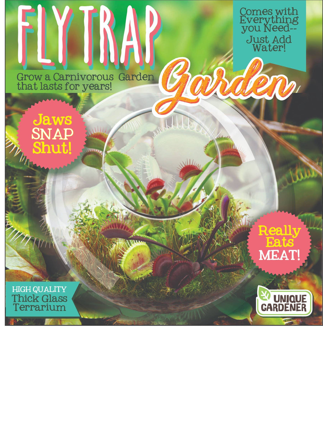 Flytraps Glass Terrarium Seed Kit