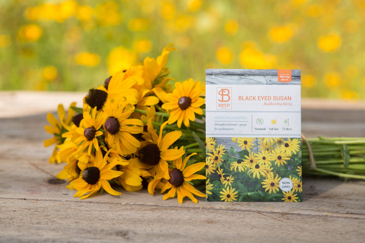 Black-Eyed Susan Seed Packets