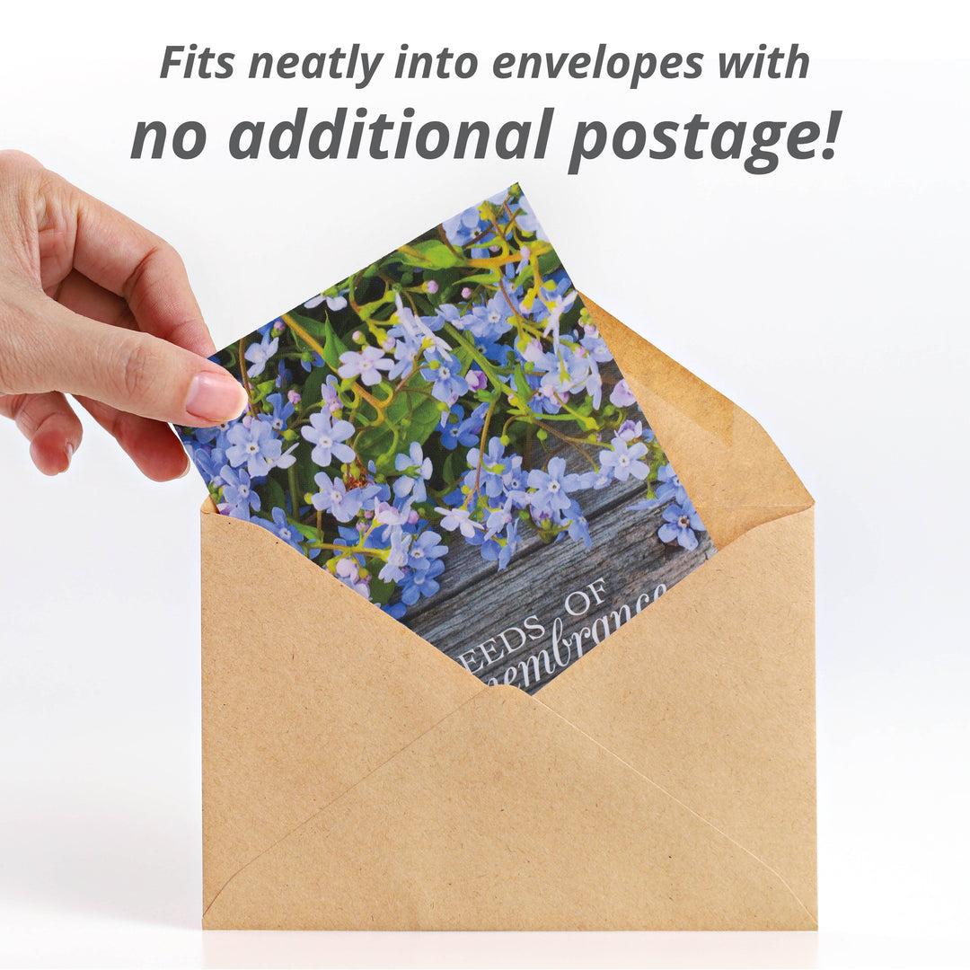 forget me not flower seed packets Seeds of Remembrance Memorial