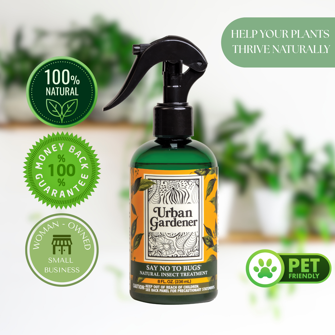 Say No To Bugs - Natural Houseplant Insect Treatment