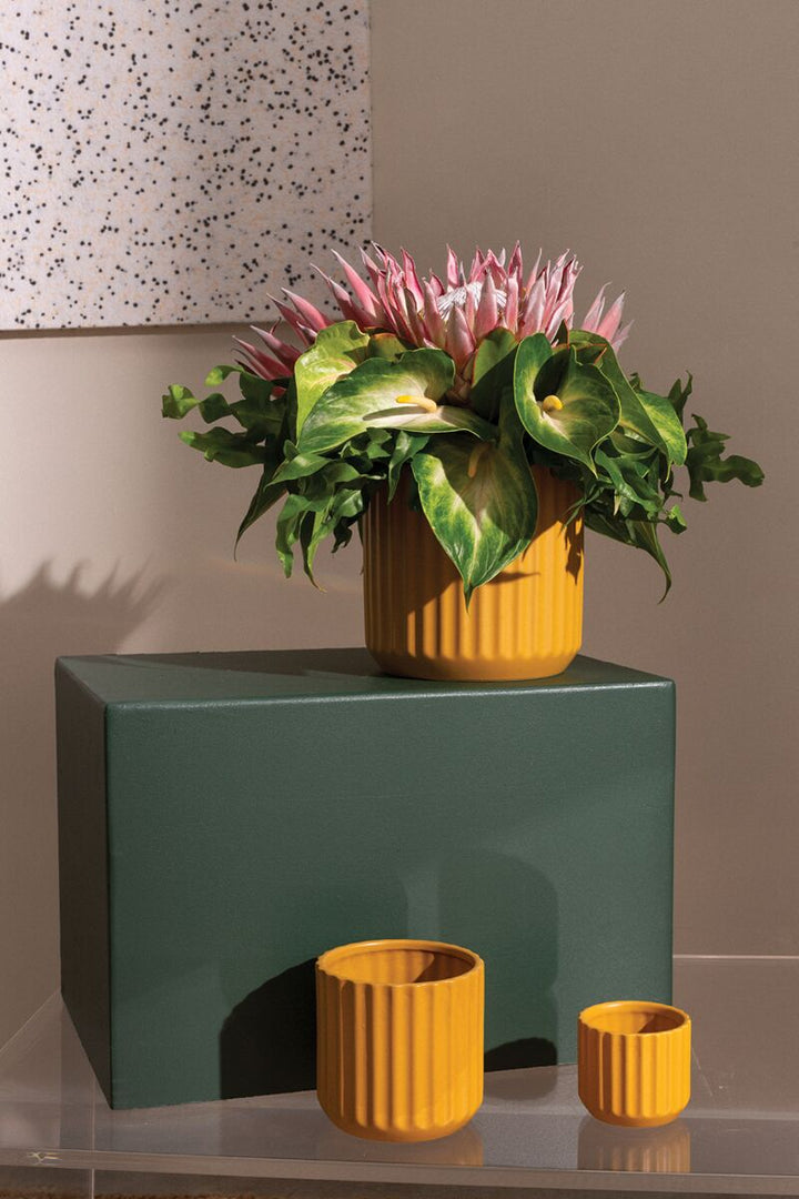 Beam Pot Mustard Yellow