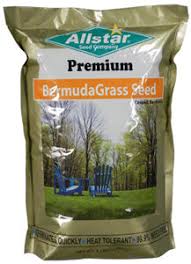 ALLSTAR BERMUDA GRASS SEED Sold by the bag