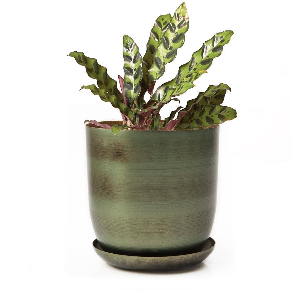 Joe Metal Flower Pots Plant Pot Decoration Bulk Kits