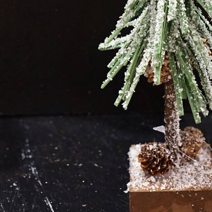 ISB75031- 8in Snowy Shooting Star Mini Tree-Green