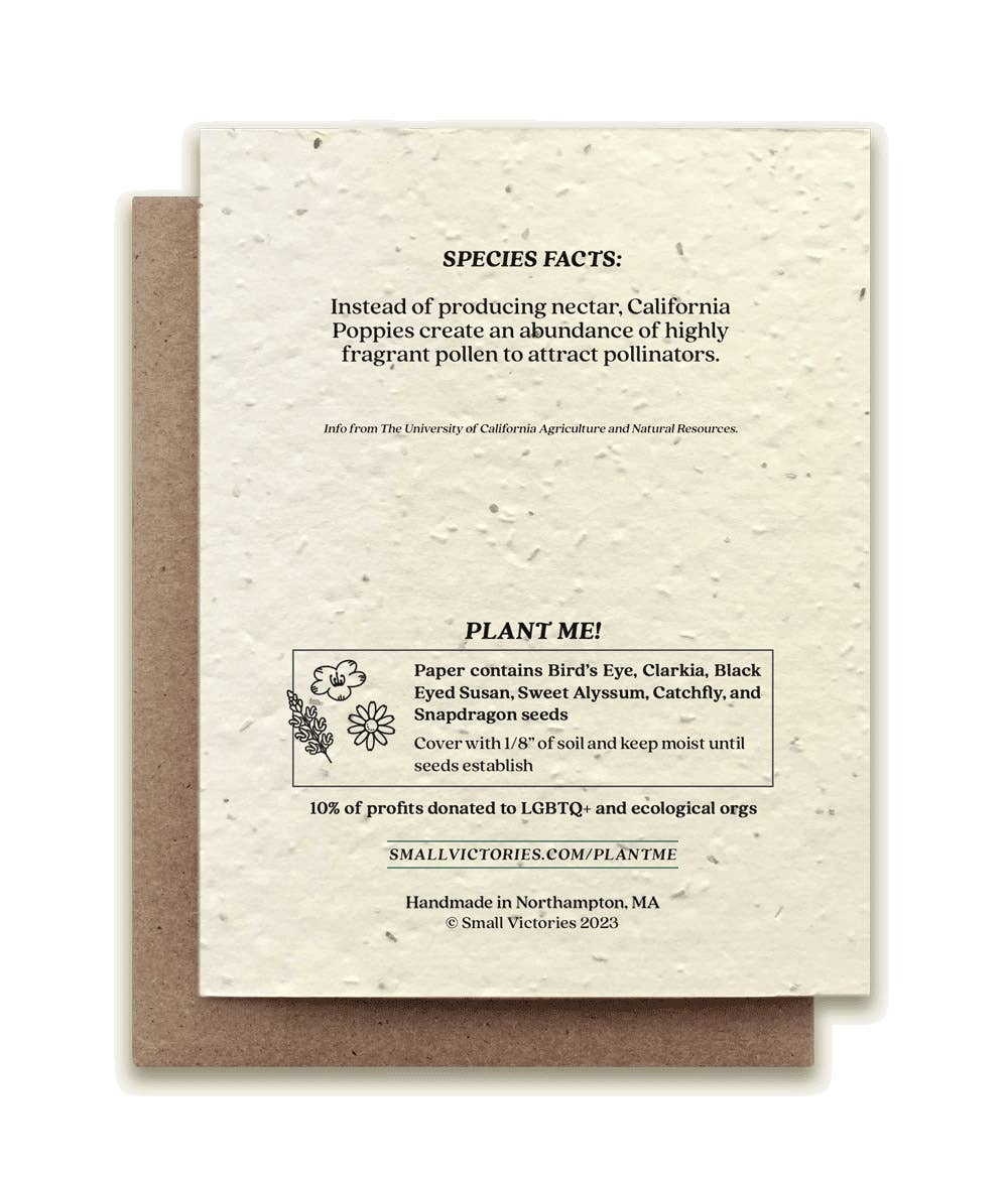 California Poppy Plantable Wildflower Seed Card